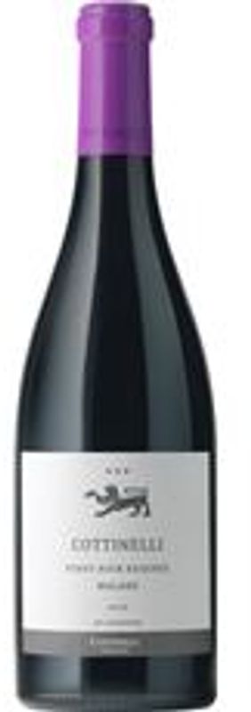 Flasche Cottinelli Pinot Noir Reserve Malans AOC Cottinelli von Cottinelli