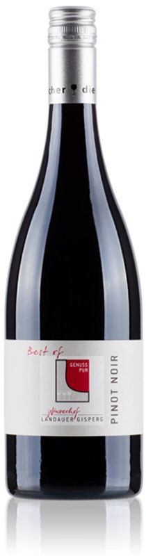 Flasche Pinot Noir Best of Winzerhof Landauer-Gisperg von Winzerhof Landauer-Gisperg