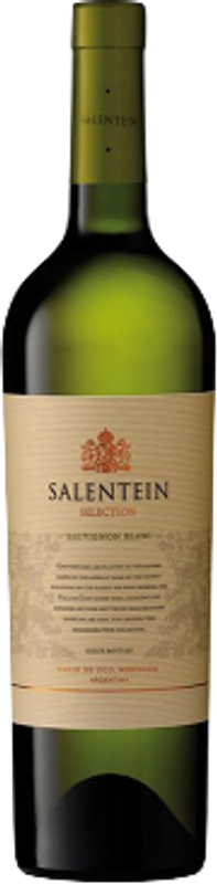 Bottiglia di Sauvignon Blanc Barrel Selection Salentein di Salentein