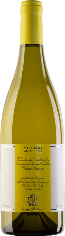 Flasche Stefano Antonucci Bianco Castelli di Jesi DOC Santa Barbara von Santa Barbara