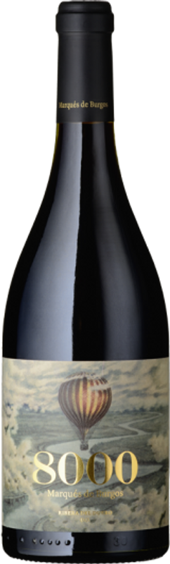 Bouteille de 8000 Marqués de Burgos Bodegas Lan de Bodegas Lan