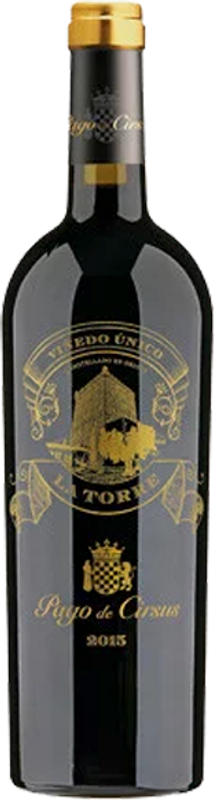Flasche Navarra DO La Torre Pago de Cirsus von Pago de Cirsus