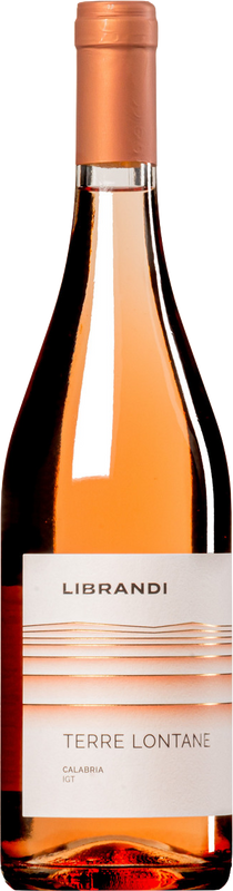 Flasche Terre Lontane IGT Calabria Rosato Librandi von Librandi