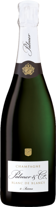 Bottiglia di Champagne Palmer Blanc de Blanc AOC Château Palmer di Château Palmer