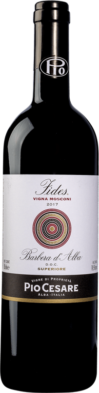 Flasche Barbera d'Alba Fides DOC Pio Cesare von Pio Cesare