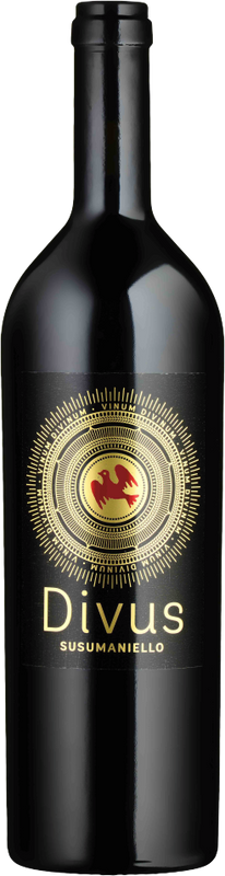 Flasche DIVUS Susumaniello Salento IGP Compagnia Mediterranea von Compagnia Mediterranea