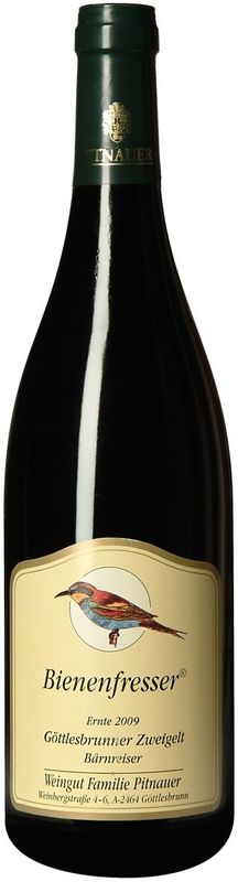 Flasche Zweigelt Bienenfresser Weingut Pitnauer von Weingut Pitnauer