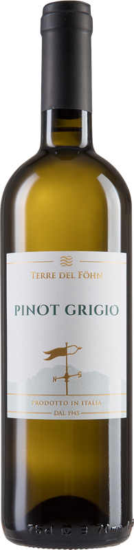 Flasche Terre del Föhn Pinot Grigio Vigna delle Dolomiti IGT Cantine Monfort von Cantine Monfort