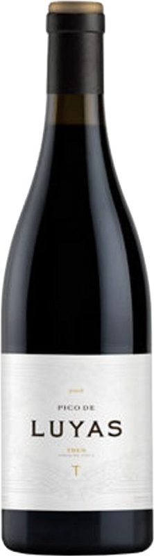 Flasche Pico de Luyas Ribera del Duero DO Bodegas Trus von Bodegas Trus