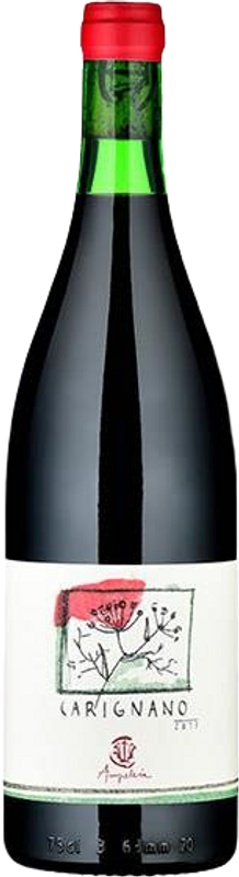 Flasche Carignano IGT Costa Toscana Rosso Bio Ampeleia von Ampeleia