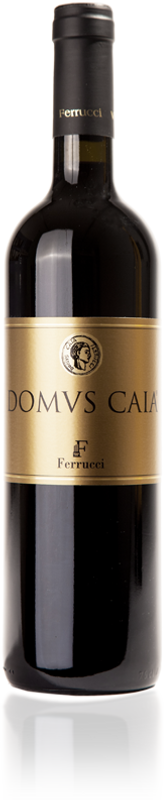Bouteille de Domus Caia Riserva DOC Azienda Agricola Ferrucci de Azienda Agricola Ferrucci