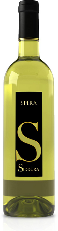 Flasche Spêra Vermentino di Gallura DOCG Cantina Siddura von Cantina Siddura