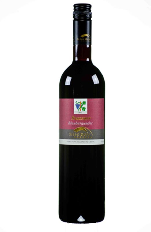Flasche Buusner Pinot Noir AOC Basel-Landschaft Siebe Dupf Kellerei von Siebe Dupf Kellerei