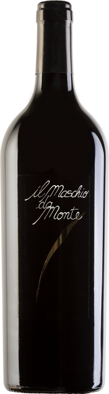 Flasche Rosso Piceno Il Maschio da Monte DOC Santa Barbara von Santa Barbara