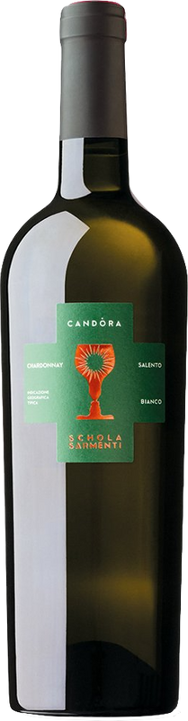 Flasche Chardonnay CANDÒRA Salento Bianco IGT Schola Sarmenti von Schola Sarmenti