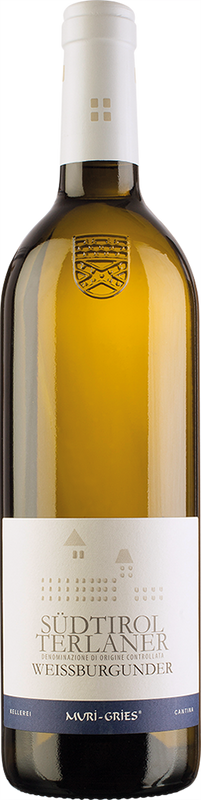 Flasche Weissburgunder Südtirol Terlaner DOC Klosterkellerei Muri/Gries von Klosterkellerei Muri/Gries