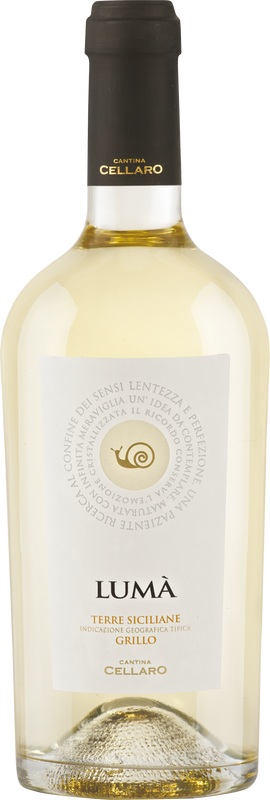 Flasche Luma Grillo Sicilia IGT Cantine Cellaro von Cantine Cellaro