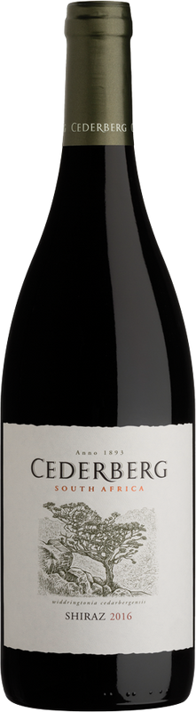 Bottiglia di Cederberg Shiraz Cederberg di Cederberg
