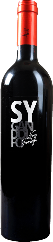 Bouteille de Terre Siciliane Syrah IGP Nino Gandolfo Nino Gandolfo de Nino Gandolfo