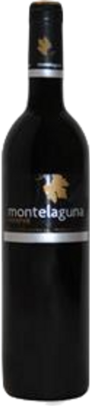 Reserva Montelaguna Ribera del Duero DO Dehesa Valdelaguna - 2019 - Duero-Tal (Castilla y Leon), Spanien
