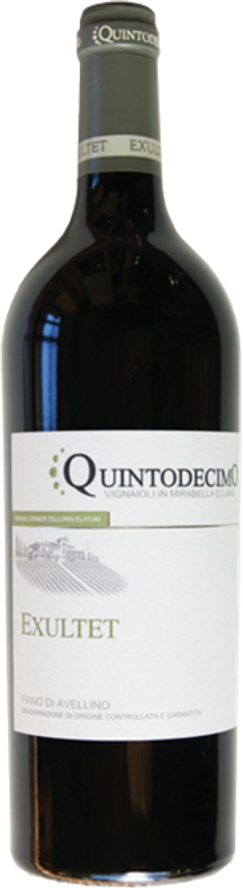 Flasche Fiano di Avelino DOCG Exultet Quintodecimo von Quintodecimo
