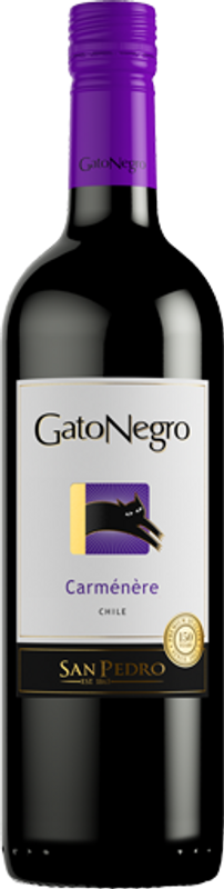 Bouteille de Gato Negro Carmenere San Pedro de San Pedro