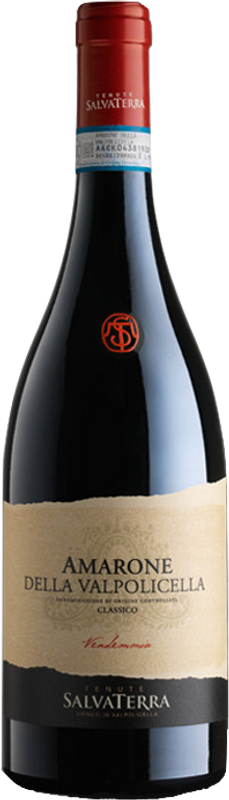 Bottiglia di Amarone della Valpolicella DOCG Tenuta SalvaTerra di Tenuta SalvaTerra