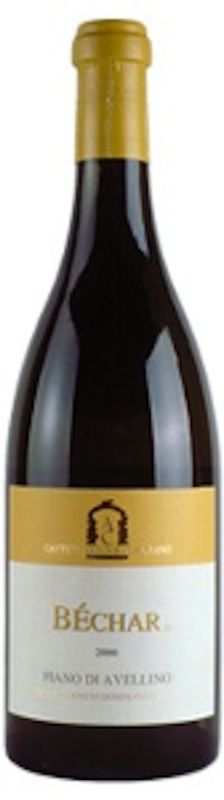 Flasche BECHAR DOCG Fiano di Avellino Caggiano von Caggiano