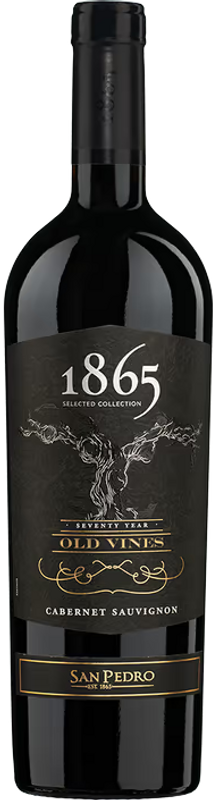 Flasche Cabernet Sauvignon Old Vines Selected Collection 1865 von San Pedro