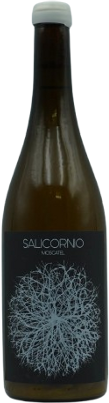 Flasche Salicornio Moscatel  von Casa Balaguer