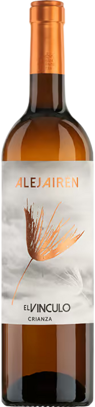 Flasche Alejairén Blanco La Mancha DO von Rivera