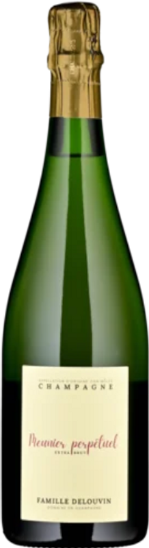 Flasche Champagne Meunier Perpétuel Extra Brut AC Delouvin Nowack von Delouvin Nowack