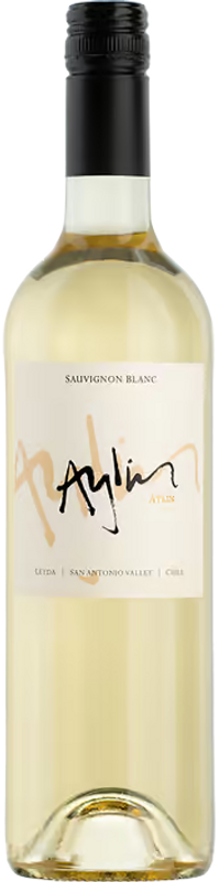 Flasche Sauvignon Blanc Aylin von Polkura
