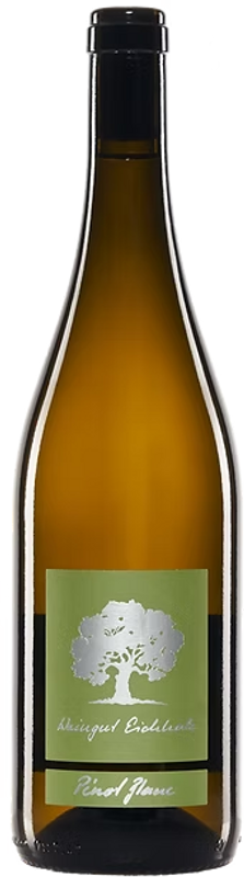 Flasche Jeninser Pinot Blanc AOC Graubünden von Weingut Eichholz