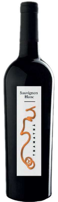 Bouteille de THAMATHÁ Sauvignon Blanc Vino Varietale Bianco de Famiglia di Tommaso