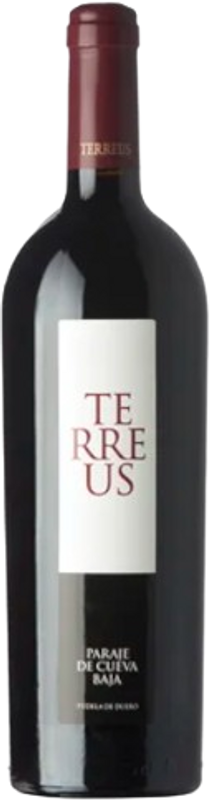 Flasche Terreus Castilla y Leon Bodegas Mauro von Bodegas Mauro