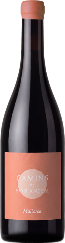 Flasche Camins de Son Antem Blanc von Bodega Son Antem