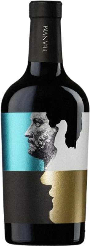 Flasche TIATI Passaporto von Cantine Teanum
