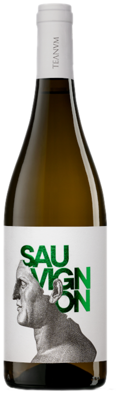 Flasche FAVÙGNË Sauvignon Blanc von Cantine Teanum