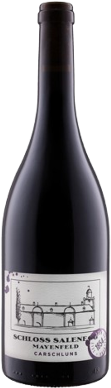 Bottle of Pinot Noir Carschluns AOC GR from Schloss Salenegg