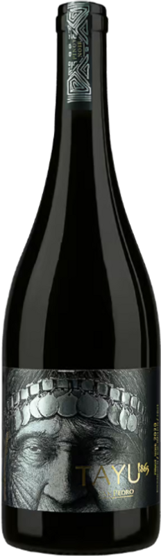 Flasche  Pinot Noir Tayu 1865 von San Pedro